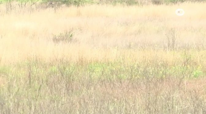 Tlaxcala – Jagüeyes fortalecer la captación y almacenamiento de agua en zonas con sequía (CORACYT Noticias)