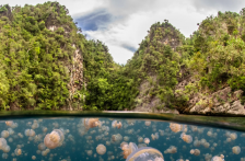 Jalisco-Ecos del Agua: Silencio del Golfo (La Cónica)