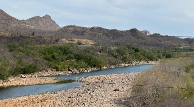 Sinaloa – Presas de Sinaloa: ¿Por qué llegaron a su nivel más bajo en la historia? (Luz noticias)