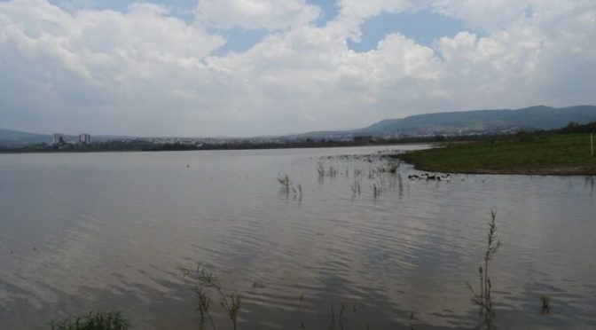 Guanajuato – Proyecto de nanotecnología en presa El Palote alcanza 76% de avance, pero enfrenta retrasos por permisos (Zona Franca)