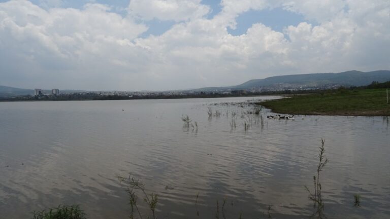Guanajuato – Proyecto de nanotecnología en presa El Palote alcanza 76% de avance, pero enfrenta retrasos por permisos (Zona Franca)