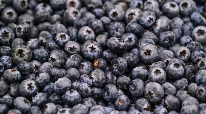 Jalisco – Secretario de Agricultura de Jalisco pide no “criminalizar” el uso del agua en el campo (UDGTV)