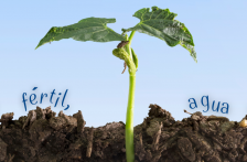 Veracruz-¿Bicicleta y dieta local? Cosustenta da acciones para vivir con EcoSalud y reducir la huella ambiental (Diario de Xalapa)