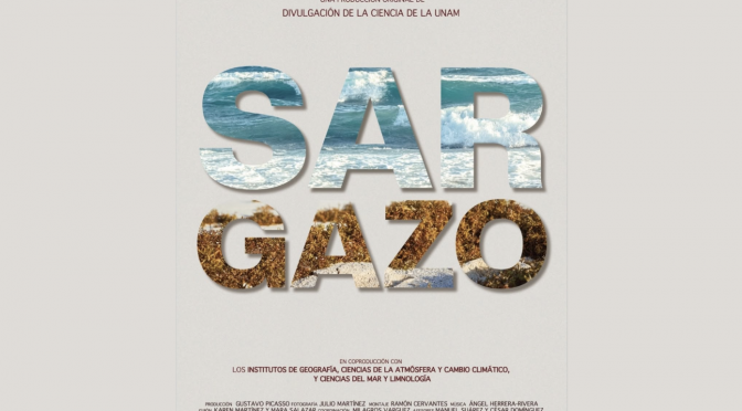 Sargazo (UNAM)