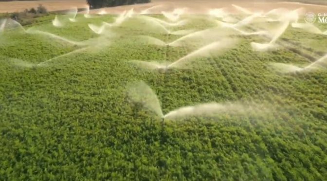 México – Ley General de Aguas debe Avanzar (Milenio)