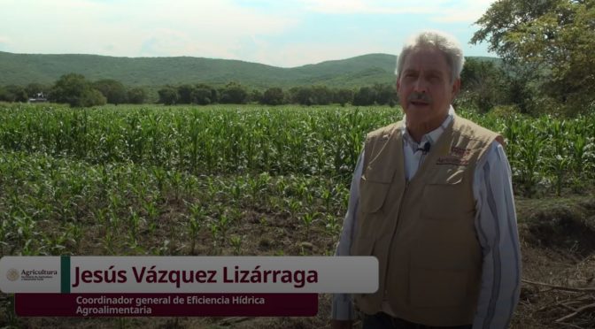 México-Agua que rinde más: de eso se trata la tecnificación de riego (Secretaría de Agriculturay Desarrollo Rural)