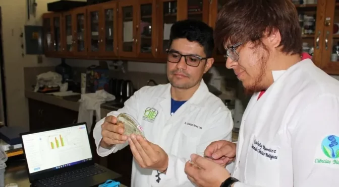 Coahuila- Alumno crea proyecto para ahorrar agua en diferentes cultivos. (Milenio)