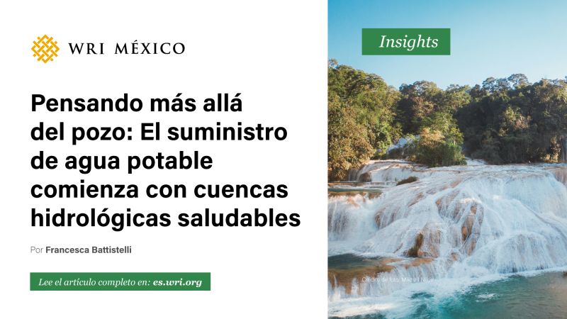 Pensando más allá del pozo: El suministro de agua potable comienza con cuencas hidrológicas saludables (WRI México)