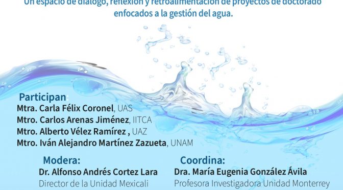 Webinar: Enfoques conceptuales y metodológicos para la investigación sobre gestión. (El Colef)