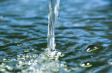 México-Oposición vota contra sus propias reservas en dictamen por explotación de agua, acusa diputada Rivera Vivanco (La Crónica)