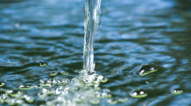 México-Oposición vota contra sus propias reservas en dictamen por explotación de agua, acusa diputada Rivera Vivanco (La Crónica)