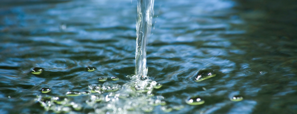 México-Oposición vota contra sus propias reservas en dictamen por explotación de agua, acusa diputada Rivera Vivanco (La Crónica)