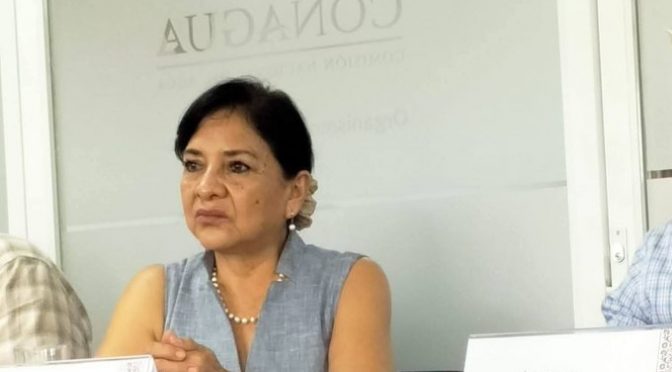 Morelos – Asesinato de presidenta de distrito de riego del Río Cuautla se enmarca en disputa del agua para el PIM: FPDTA (EDUCA)