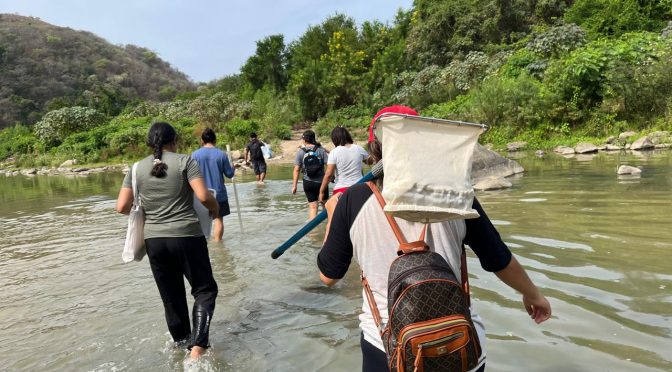 Monitoreo comunitario del agua en Manialtepec: ciencia y cuidado desde la comunidad