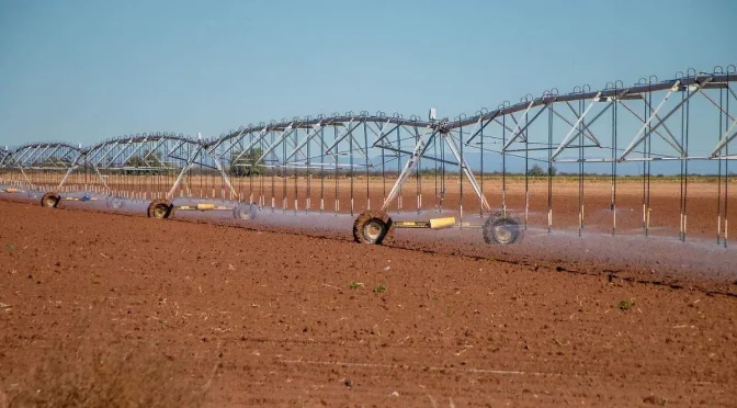 Baja California Sur – Agricultura sudcaliforniana enfrenta retos de agua, costos e insumos. (Sudcaliforniano)