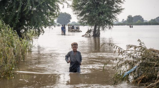 Mundo – Entre inundaciones y sequías: el ciclo del agua es cada vez más irregular y extremo (Noticias ONU)