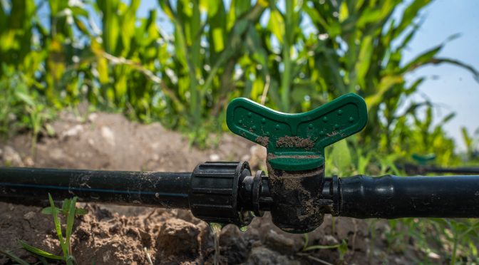 México – Asistencia técnica y riego eficiente: más productividad con menos agua en el campo mexicano (Gobierno de México)