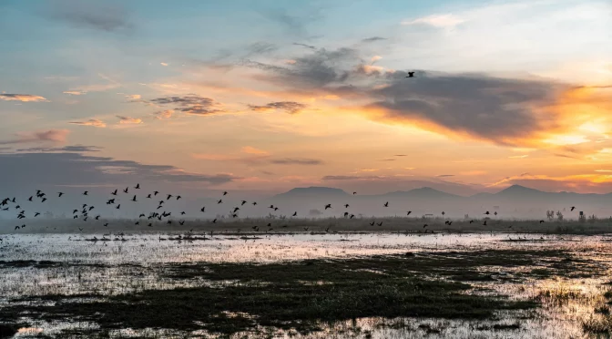 Estado de México – El agua regresa al Lago de Texcoco y entierra los restos de lo que quiso ser un megaaeropuerto. (Wired)