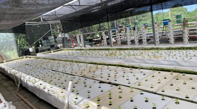 Guadalajara – Un laboratorio entre agua, ciencia y vida (La Gaceta)