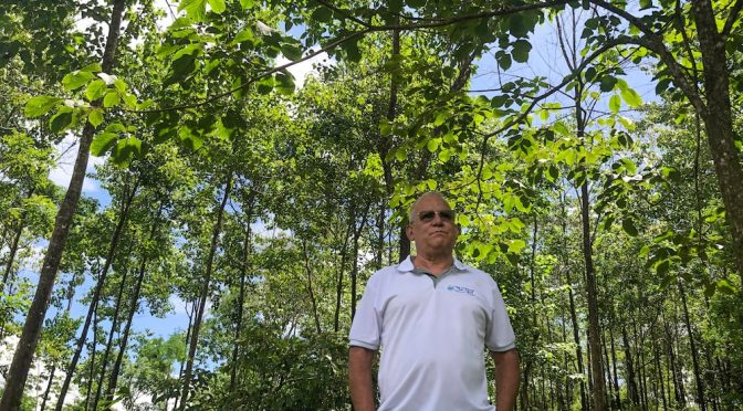 Mundo-Convertir pastizales en bosques para conservar el agua en la provincia más seca de Costa Rica (El País)