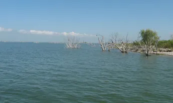 Tamaulipas – Este es el nivel actual de las presas en Tamaulipas: algunas alcanzan más del 100% de su capacidad. (Milenio)