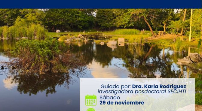 Caminata exploratoria: Humedales urbanos (Enes Unidad Mérida)