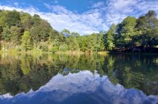 México-Impulsan reformas en materia de hidrógeno verde y bosques de agua (Congreso CDMX)