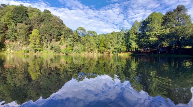 México – Bosques del futuro | Bosques vivos para garantizar el agua del mañana (Aristegui Noticias)