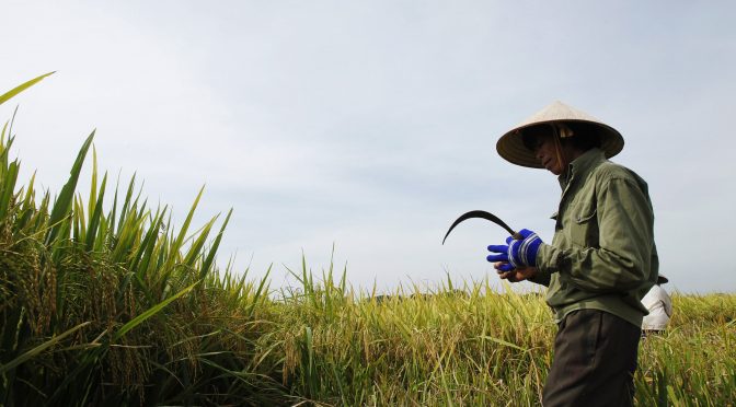 Mundo – Cómo la innovación local e iterativa impulsa el cambio real en agua y energía. (World economic forum)