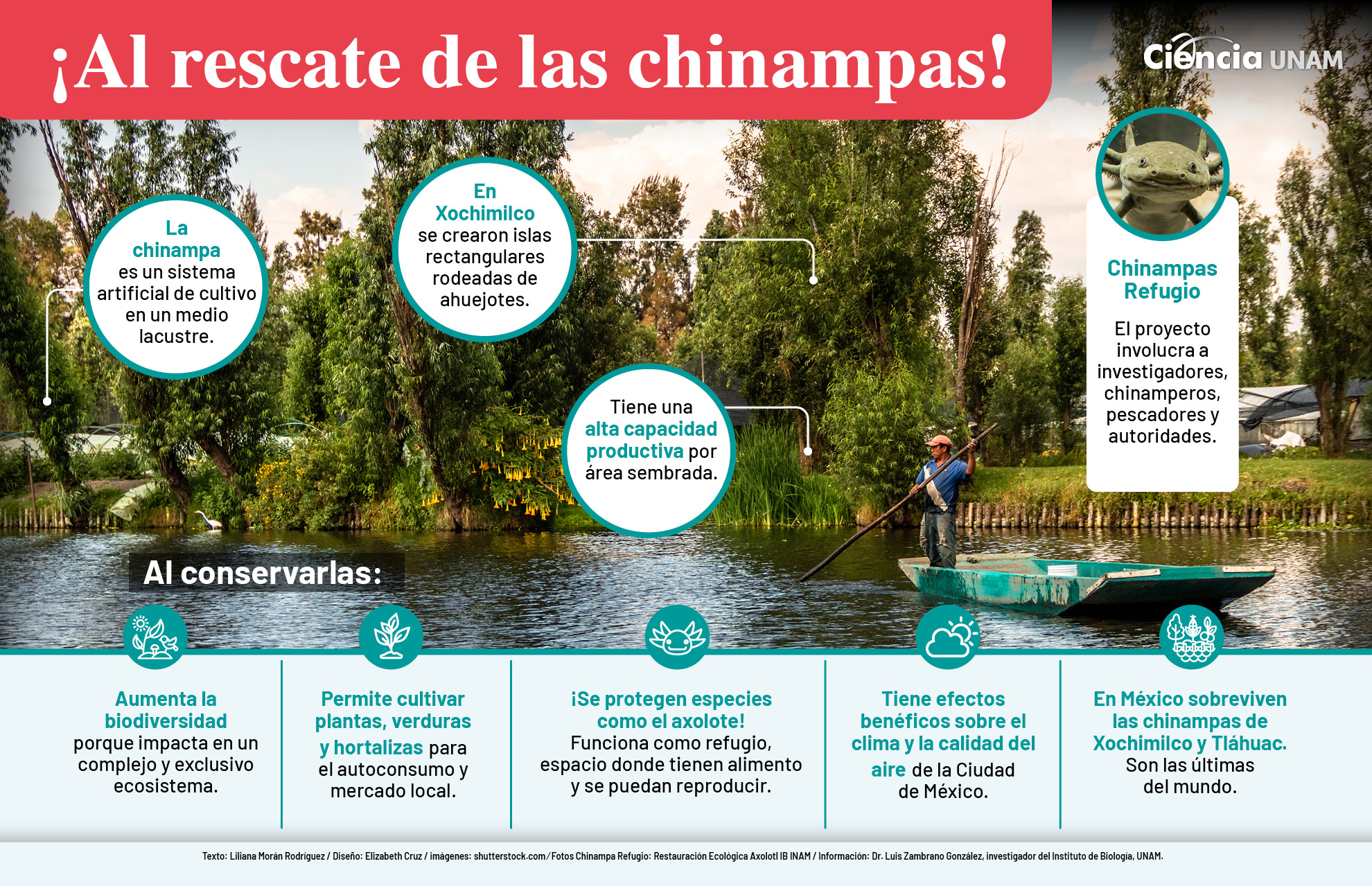 Infografía de ciencias. (UNAM)