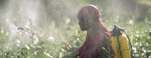 Pesticidas en tu mesa y en el agua