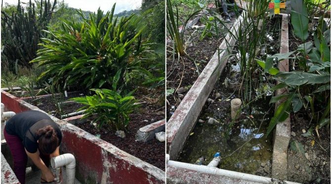 Veracruz – Comunidad de Actopan, un ejemplo del uso de ecotecnias para tratar agua contaminada. (noticias RTV).