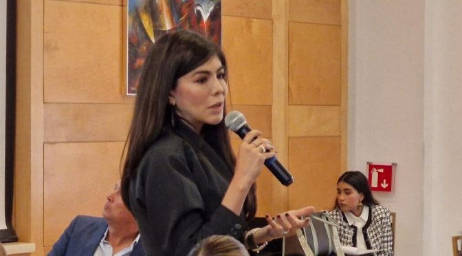 Querétaro-Consejo Consultivo del Agua llama a incluir industrias en la gestión hídrica de Querétaro (Plaza de Armas)