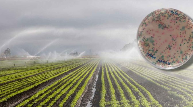 Mundo-El agua: el eslabón invisible en la expansión de la resistencia a los antibióticos (ISG Global)