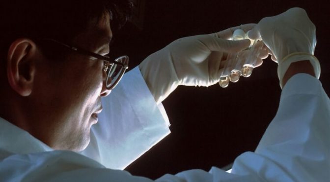 Internacional – Australia desarrolla la tecnología más prometedora del siglo: Refleja el calor de una estrella y produce agua (ECOPORTAL)