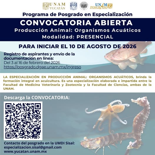 Especialización – Producción Animal: Organismos Acuáticos (UNAM Campus Yucatán)