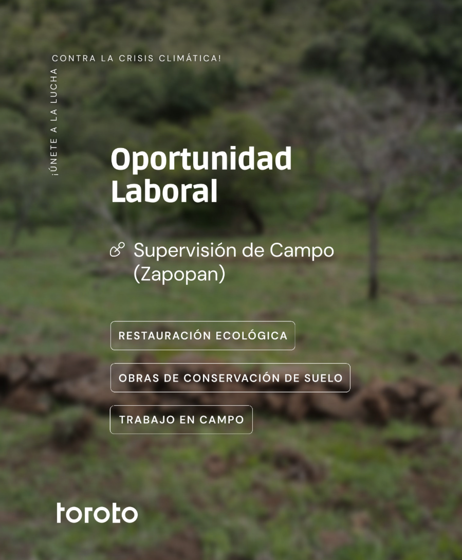Vacante Toroto: Supervisión de Campo en Zapopan. (toroto)