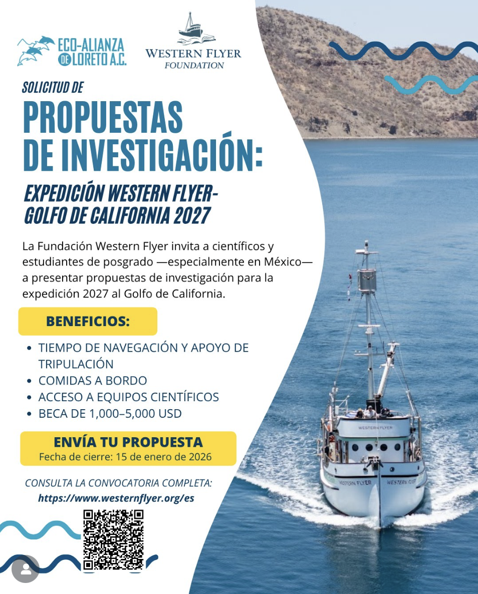 Solicitud de propuestas de investigación: Expedición Western Flyer al Golfo de California 2027 (Western Flyer Foundation)