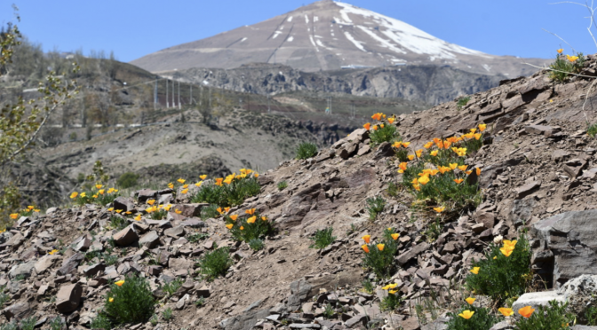 Mundo-Montañas: las torres de agua que sostienen nuestra vida (Noticias UdeC)