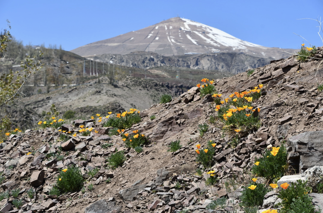 Mundo-Montañas: las torres de agua que sostienen nuestra vida (Noticias UdeC)