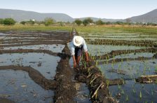 México-Conagua aclara puntos de reforma a la Ley de Aguas; asegura garantía de derechos de agricultores (IMER Noticias)