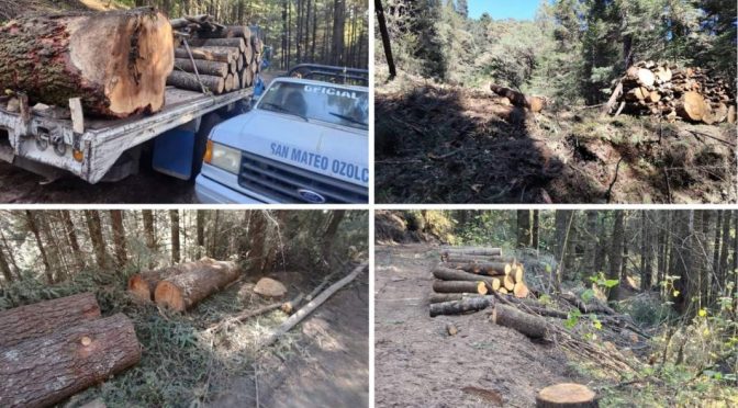 Puebla-Familia Aizpuru amenaza al pueblo de Ozolco con cortar el agua si no avalan tala en el Izta–Popo (La Jornada de Oriente)