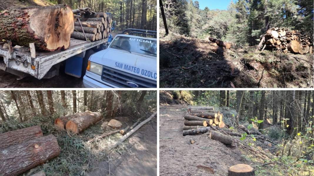 Puebla-Familia Aizpuru amenaza al pueblo de Ozolco con cortar el agua si no avalan tala en el Izta–Popo (La Jornada de Oriente)