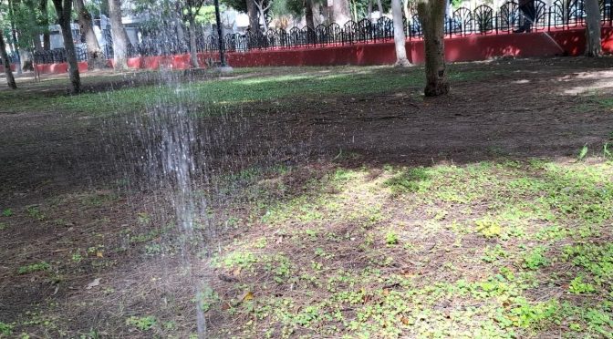 Guanajuato – Agua tratada llegará a parques de Celaya; buscan frenar sobreexplotación del acuífero (Zona Franca)
