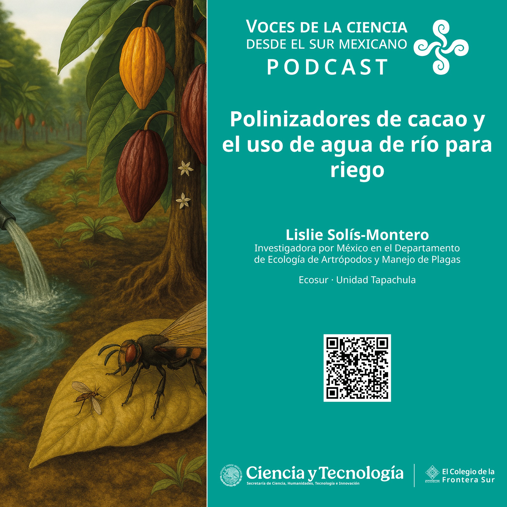 Epi.2 | Temp.4: Polinizadores de cacao y el uso de agua de río para riego (Voces de la ciencia desde el sur mexicano)