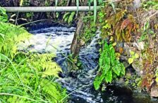Veracruz-Contaminación de represa deja sin agua a 4 mil en Veracruz; son varias las comunidades afectadas (Excelsior)