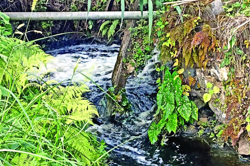 Veracruz-Contaminación de represa deja sin agua a 4 mil en Veracruz; son varias las comunidades afectadas (Excelsior)