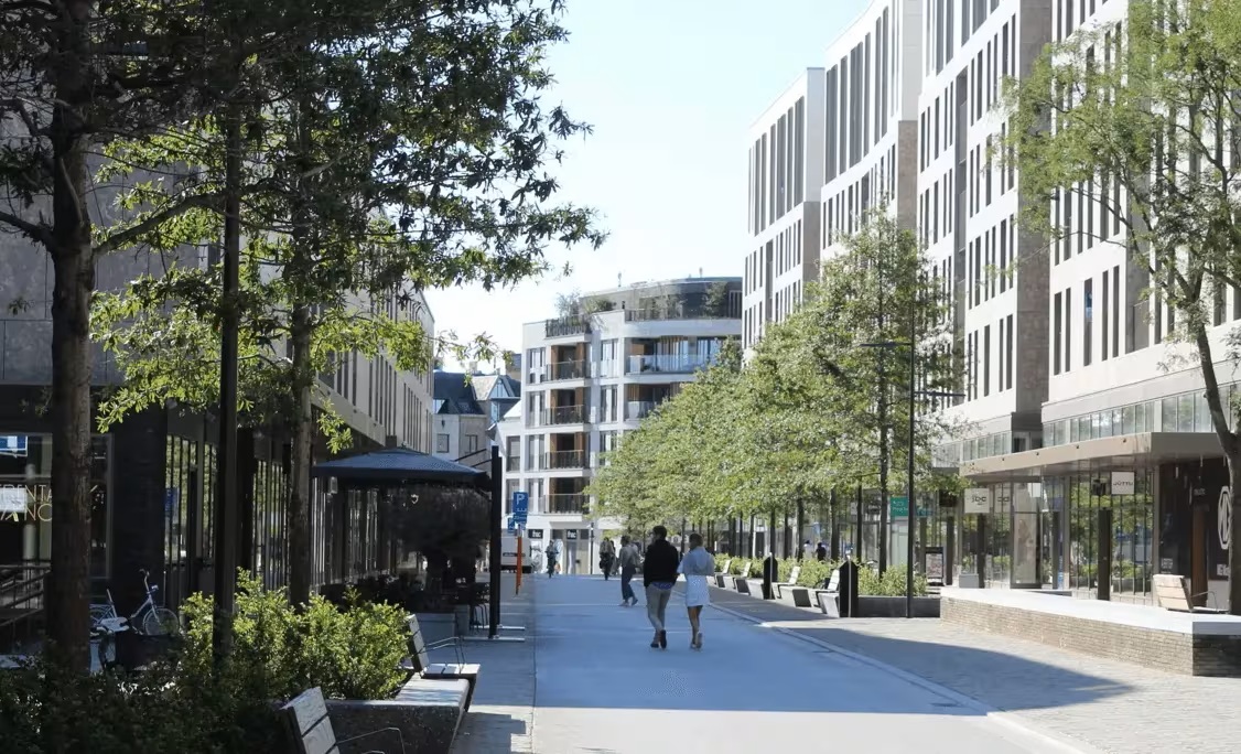 Ciudad de México-Cómo aprovechar el agua de lluvia en México ante el cambio climático (Multimedia En Concreto)