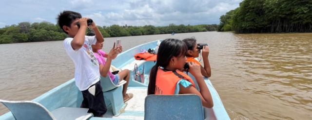 Educar para pensar, no solo para actuar: otra mirada de la educación ambiental