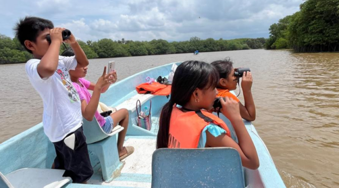Educar para pensar, no solo para actuar: otra mirada de la educación ambiental